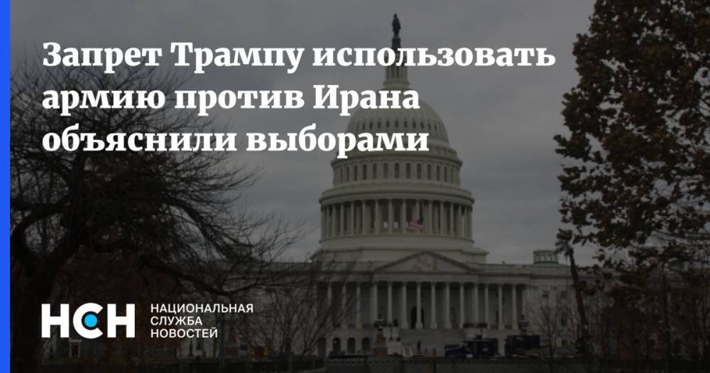 Дональд Трамп - Юрий Рогулев - Запрет Трампу использовать армию против Ирана объяснили выборами - nsn.fm - США - Иран