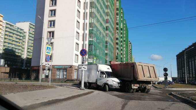 "Газель" столкнулась с самосвалом на перекрестке Шувалова и Графской - piter.tv - Санкт-Петербург