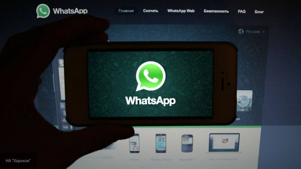 WhatsApp вводит функцию автоматического удаления сообщений - polit.info