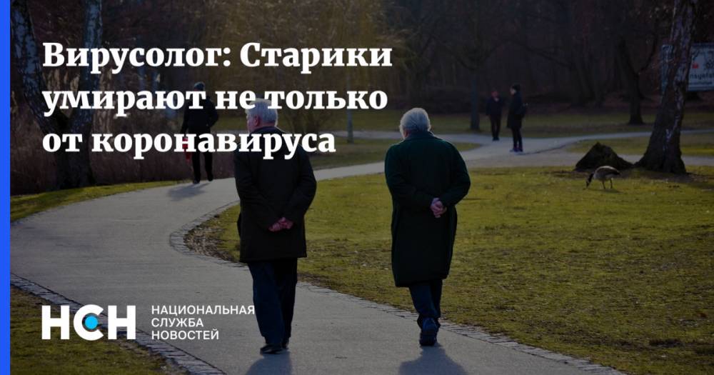 Мелита Вуйнович - Вирусолог: Старики умирают не только от коронавируса - nsn.fm - Италия