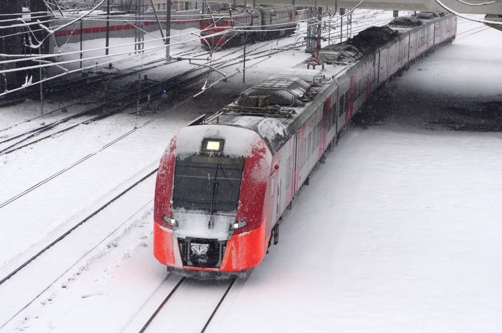 Движение поездов из Москвы приостановили на Рижском направлении МЖД - vm.ru - Москва - территория Рижское Направление
