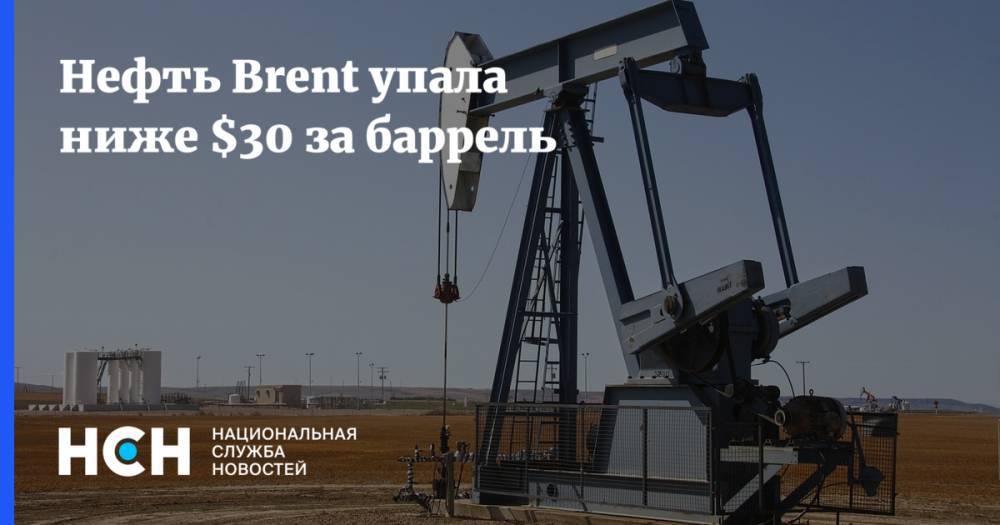 Сергей Калашников - Нефть Brent упала ниже $30 за баррель - nsn.fm - Россия