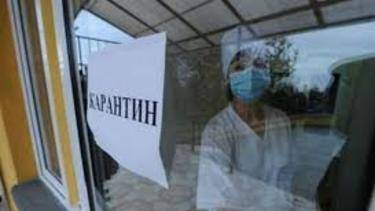 Все ужасы карантина: приехавшая из Италии девушка описала "лечение" в Подмосковье - newsland.com - Москва - Италия - Московская обл.