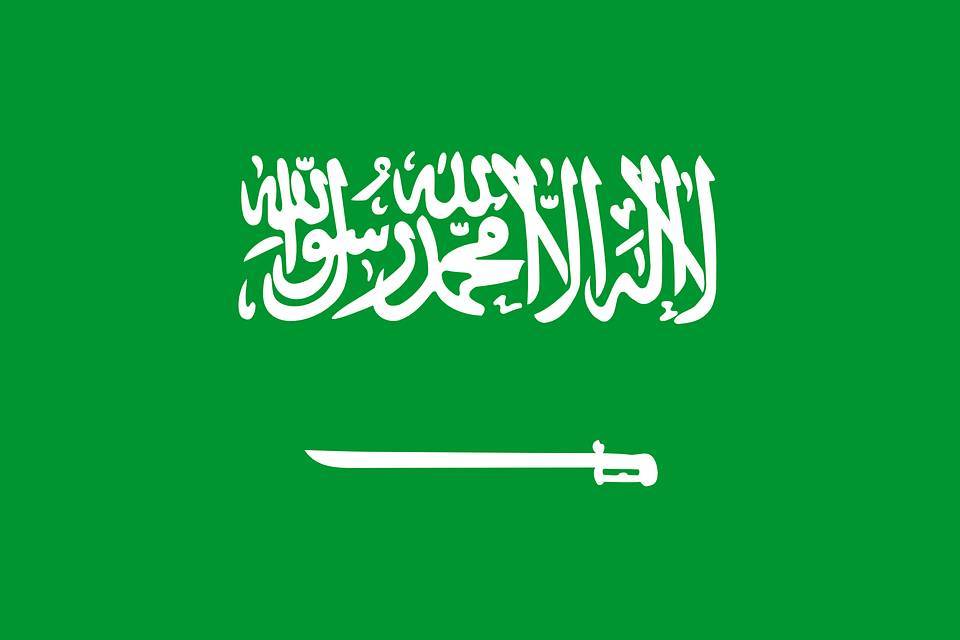 В Саудовской Аравии арестованы 298 человек за коррупцию - Cursorinfo: главные новости Израиля - cursorinfo.co.il - Израиль - Саудовская Аравия
