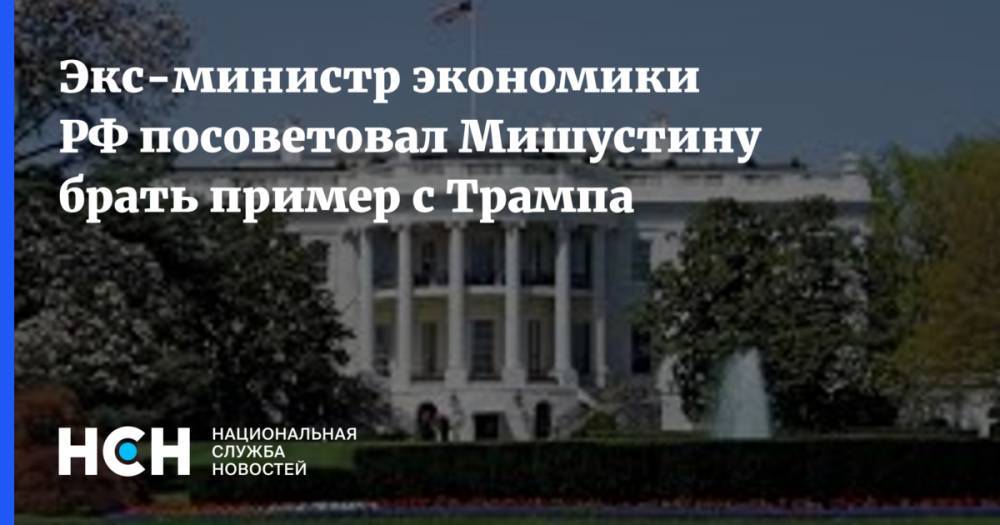 Дональд Трамп - Андрей Нечаев - Экс-министр экономики РФ посоветовал Мишустину брать пример с Трампа - nsn.fm - Россия - США - Washington