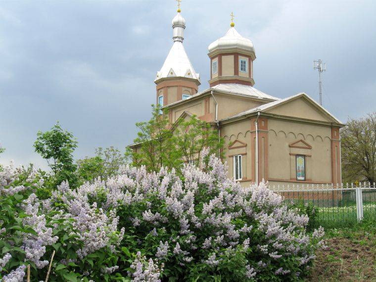 Какой церковный праздник сегодня — 18 марта 2020, отмечают православные христиане, церковный календарь, именины сегодня - pravda-tv.ru
