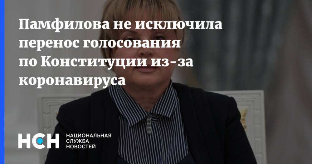 Элла Памфилова - Памфилова не исключила перенос голосования по Конституции из-за коронавируса - nsn.fm