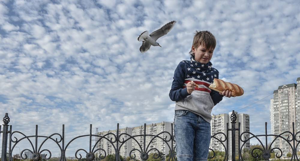 Народный календарь. Какая птица принесет удачу 19 марта - vm.ru