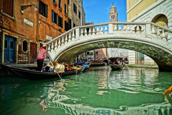 Рыба вернулась в каналы Венеции, поскольку вода стала чище во время карантина из-за коронавируса - usa.one - Италия - Венеции