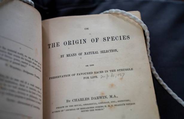 Чарльз Дарвин - Впервые доказана одна из теорий эволюции Дарвина - newtvnews.ru