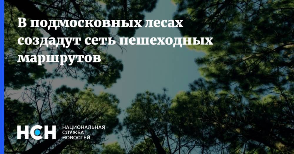 В подмосковных лесах создадут сеть пешеходных маршрутов - nsn.fm - Московская обл. - Солнечногорск