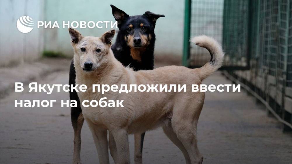 В Якутске предложили ввести налог на собак - ria.ru - Москва - Якутск