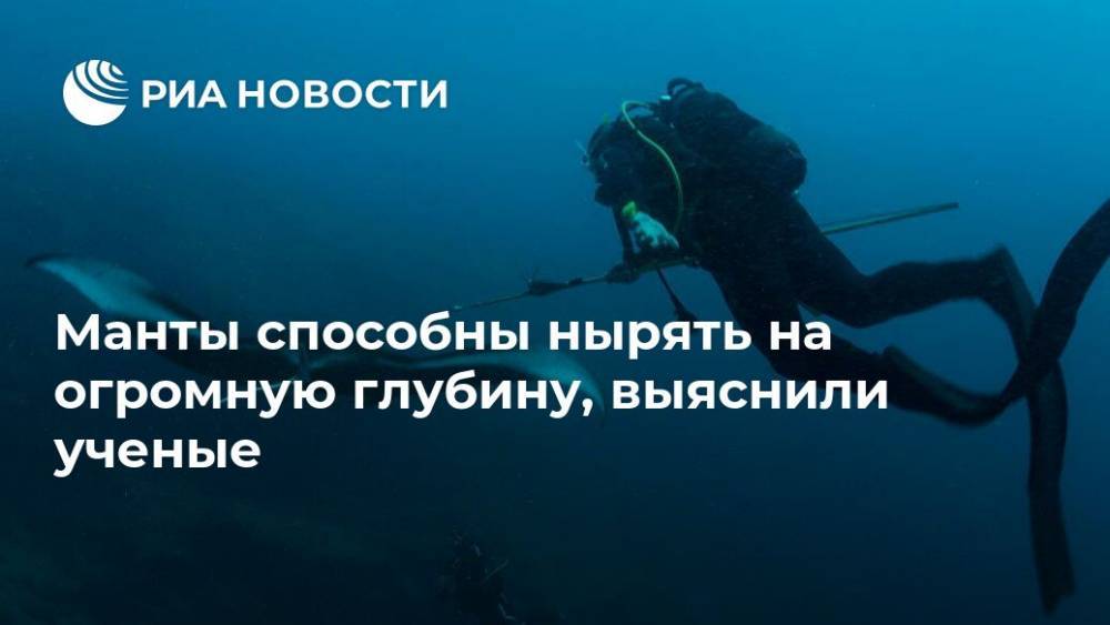 Манты способны нырять на огромную глубину, выяснили ученые - ria.ru - Москва - Новая Каледония