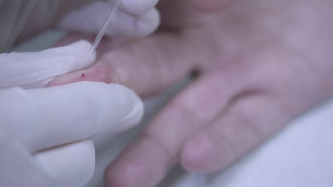 В России начались испытания вакцины от коронавируса на животных - piter.tv - Россия
