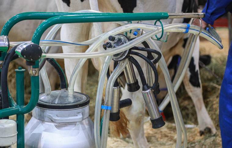 Минпромторг предлагает продлить сроки маркировки молочной продукции - news.ru - Россия