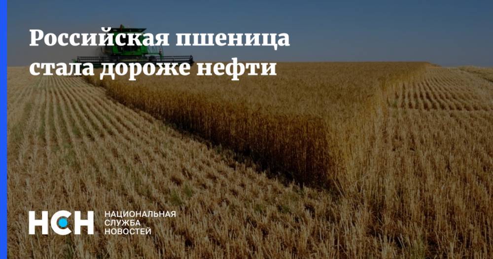 Андрей Сизов - Российская пшеница стала дороже нефти - nsn.fm - Россия - Париж
