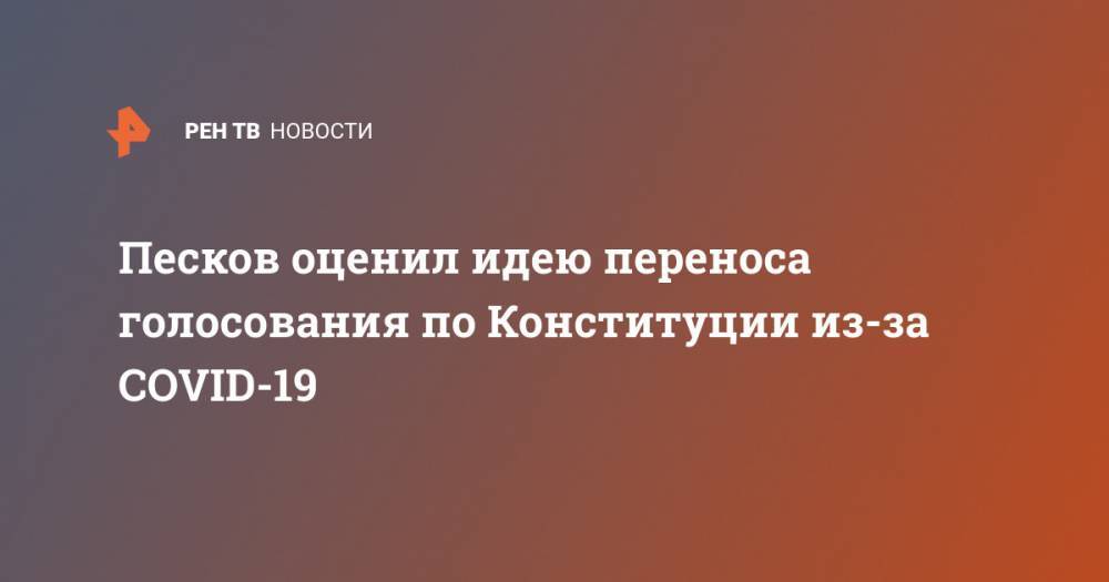 Дмитрий Песков - Элла Памфилова - Песков оценил идею переноса голосования по Конституции из-за COVID-19 - ren.tv - Россия