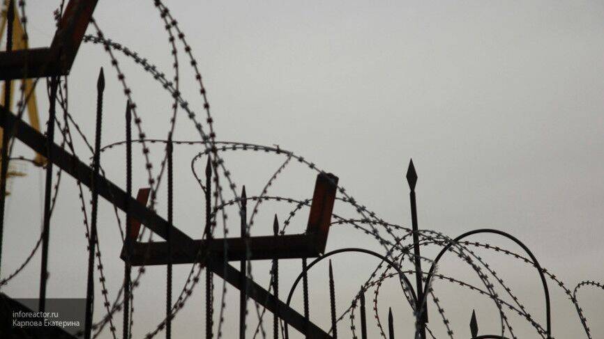 Правозащитники попросили ВОЗ обезопасить заключенных от коронавируса - polit.info - Россия - Иран