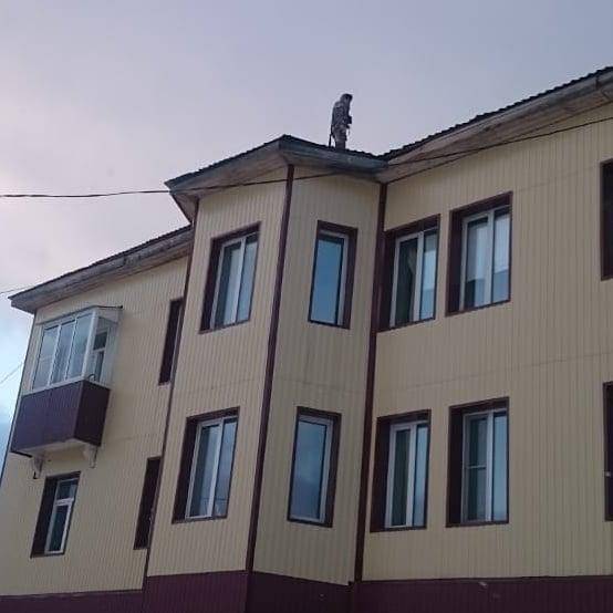 В Шерегеше восстановили часть крыши, пострадавшей от ураганного ветра - gazeta.a42.ru - район Таштагольский