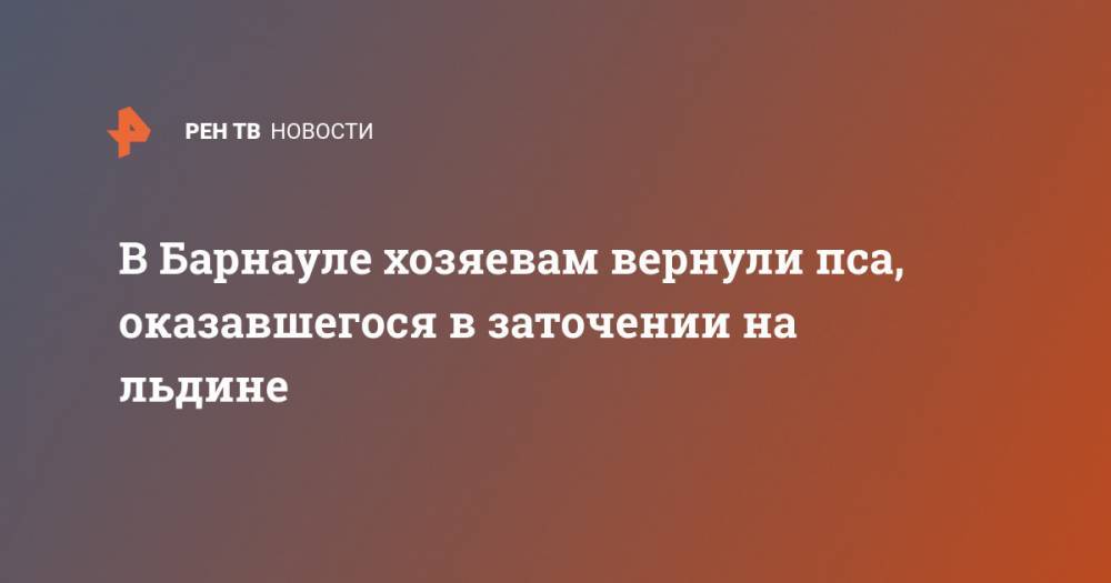 В Барнауле хозяевам вернули пса, оказавшегося в заточении на льдине - ren.tv - Барнаул