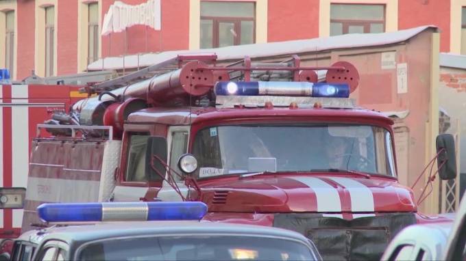 После пожара на Васильевском острове спасатели откачали кота - piter.tv