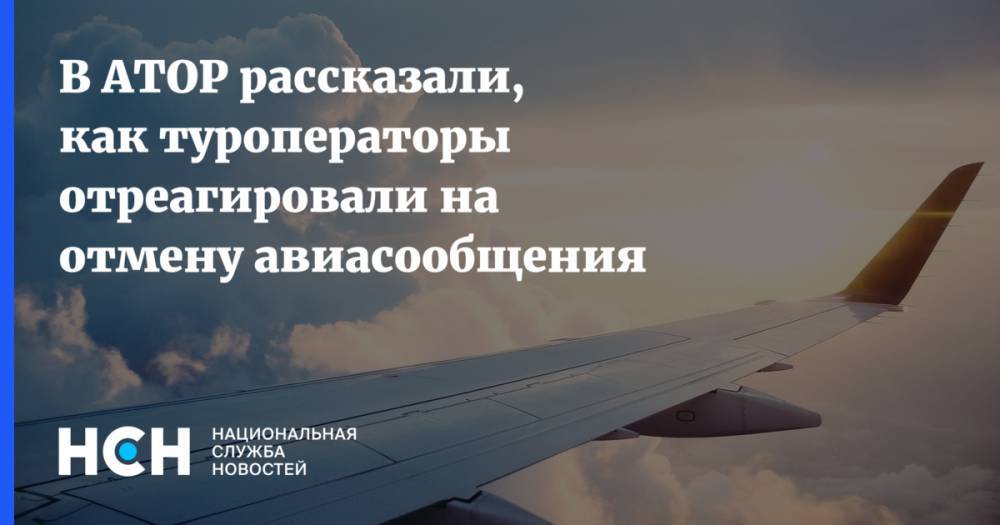 Михаил Мишустин - Дмитрий Горин - В АТОР рассказали, как туроператоры отреагировали на отмену авиасообщения - nsn.fm - Россия