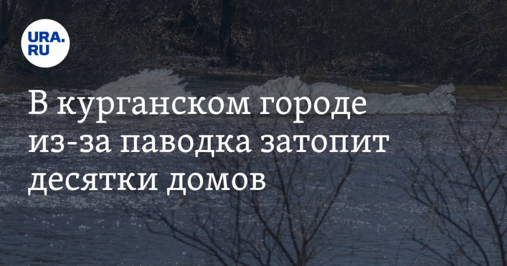 В курганском городе из-за паводка затопит десятки домов. Власти готовят пункты размещения - ura.news - Курганская обл. - Шадринск