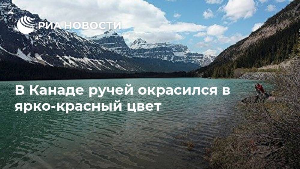 В Канаде ручей окрасился в ярко-красный цвет - ria.ru - Москва - Канада