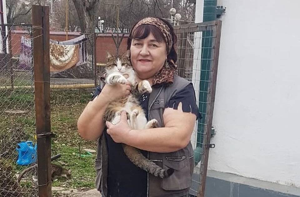 “Когда стреляли, я гладила их”: пенсионерка рассказала, как сделала приют для котят в чеченскую войну - readovka.news - респ. Чечня