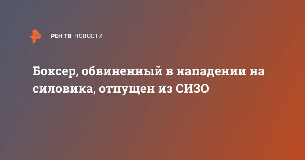 Георгий Кушиташвили - Боксер, обвиненный в нападении на силовика, отпущен из СИЗО - ren.tv - Россия