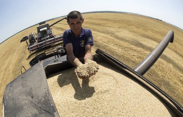 Эксперт рассказал об угрозе квот на экспорт пшеницы - news.ru - Россия - с. 1 Апреля