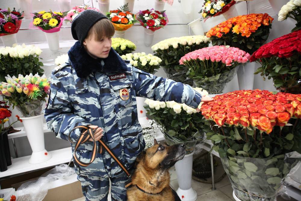 Рейды против несанкционированной торговли цветами начались в преддверии 8 Марта - vm.ru - Москва - Алексей Немерюк - Торговля