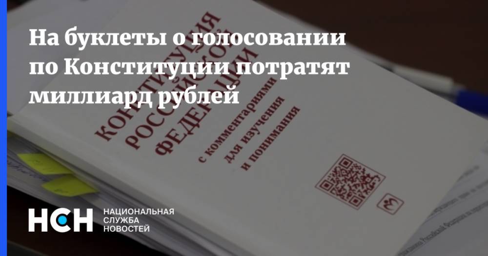 Элла Памфилова - На буклеты о голосовании по Конституции потратят миллиард рублей - nsn.fm