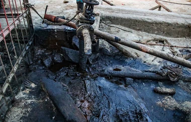 Александр Новак - Цена на нефть марки WTI обвалилась на 10% - news.ru - Россия