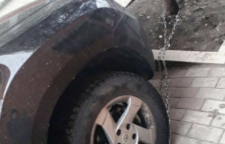 В Ставрополе автомобилист приковал машину цепями к дереву - news.ru - Новосибирск
