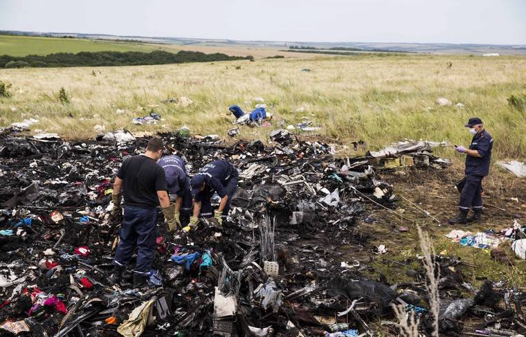 Мария Захарова - Жозеп Боррель - Юристы назвали сроки завершения судебного процесса по делу MH17 - news.ru - Россия - Голландия