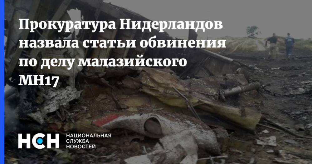 Прокуратура Нидерландов назвала статьи обвинения по делу малазийского MH17 - nsn.fm - Голландия - Куала-Лумпур - Амстердам