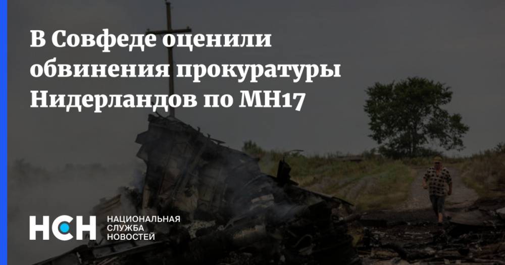 В Совфеде оценили обвинения прокуратуры Нидерландов по MH17 - nsn.fm - Украина - Бельгия - Австралия - Голландия - Малайзия - Куала-Лумпур - Амстердам