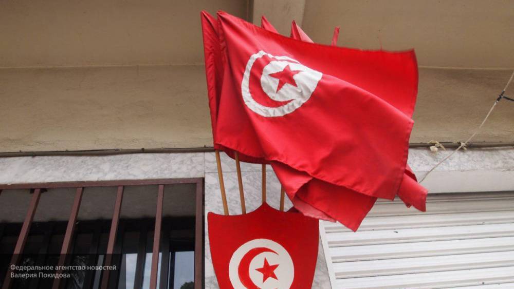 Геополитик Анохин считает, что Тунис стал площадкой для тренировок боевиков - politros.com - Россия - Сирия - Турция - Ливия - Тунис - Тунисская Респ.