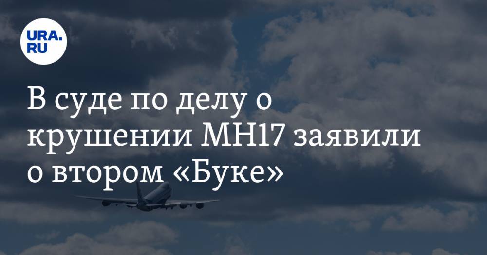 В суде по делу о крушении MH17 заявили о втором «Буке» - ura.news - Россия - Украина - Голландия