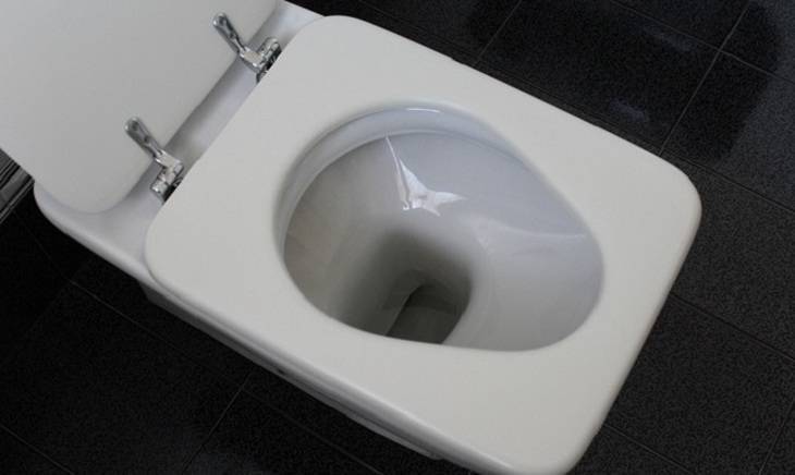 За здоровьем будет следить «умный туалет» - mirnov.ru