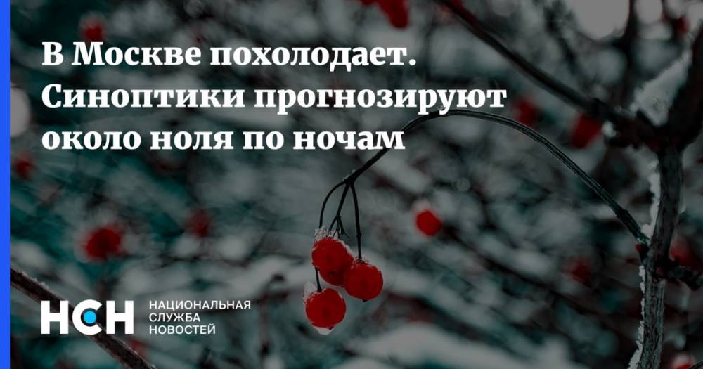 Евгений Тишковец - Гидрометцентр Роман Вильфанд - В Москве похолодает. Синоптики прогнозируют около ноля по ночам - nsn.fm - Москва - Россия