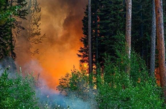 В выходные на Южном Урале произошло четыре лесных пожара на площади 15 гектаров - znak.com - Челябинская обл. - с. Всего