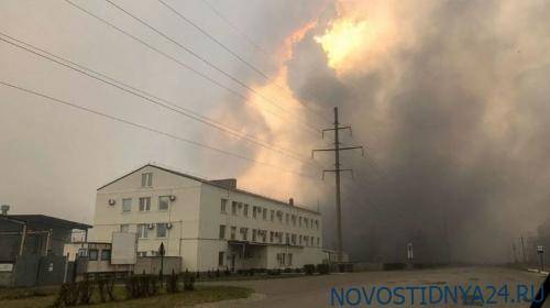 Во вторник дым от пожара в Чернобыльской зоне может дойти до Киева - novostidnya24.ru - Киев - Белоруссия - Гомель