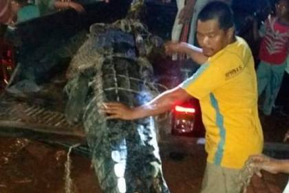 Крокодила расстреляли из автомата и нашли в его брюхе съеденного ребенка - lenta.ru - Indonesia