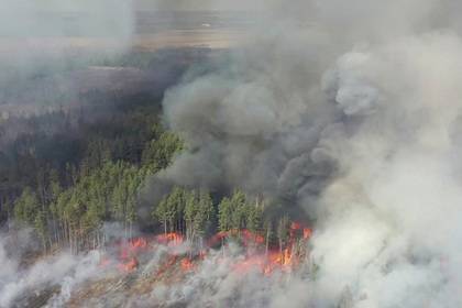 Дождь помог спасателям тушить пожар у Чернобыльской АЭС - lenta.ru - Украина - Киев