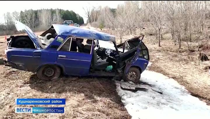 В Башкирии установили личность виновника смертельного ДТП с девочкой - vesti.ru - Башкирия - район Кушнаренковский