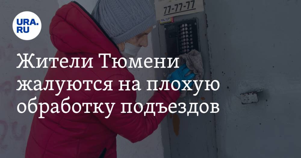 Жители Тюмени жалуются на плохую обработку подъездов. ВИДЕО - ura.news - Тюмень
