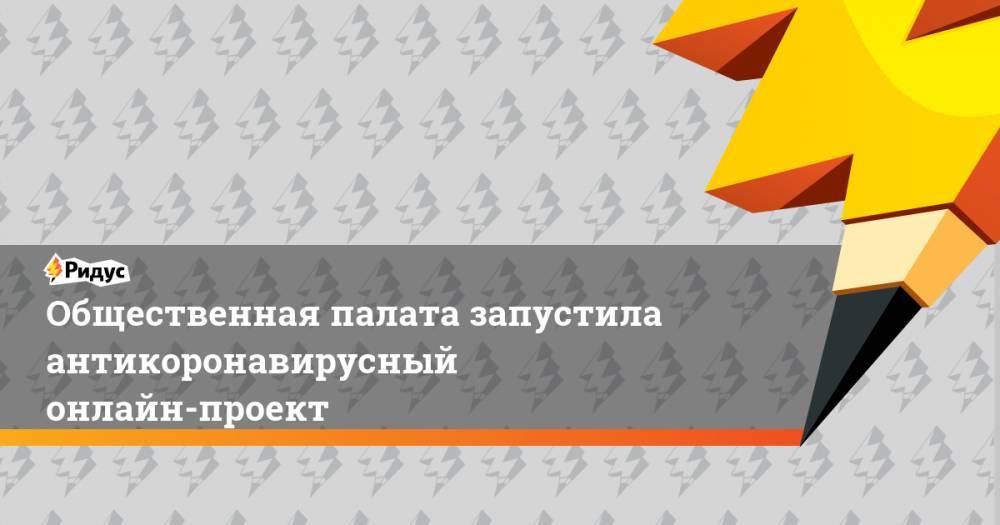 Лидия Михеева - Общественная палата запустила антикоронавирусный онлайн-проект - ridus.ru - Россия