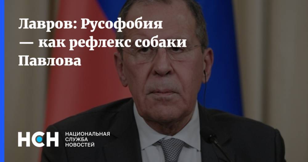 Сергей Лавров - Лавров: Русофобия — как рефлекс собаки Павлова - nsn.fm - Россия